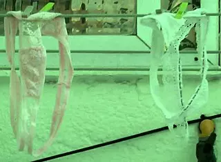 tanga de mi vecina mts