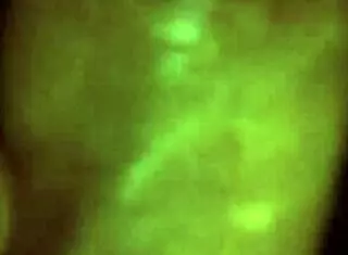 mulatta giving blowjob and handjob