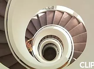 watch 3d futanari hentai animation