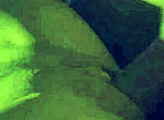 fucking deny barbie doggystyle in amateur scene