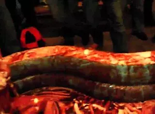 have you seen king curing chocolate wrestling olympics movie with sexy models in pool?