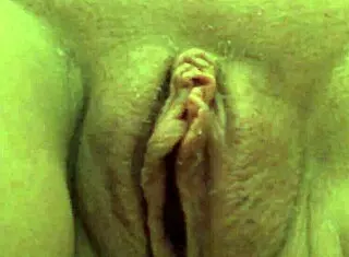 Archived Footage From August 2015