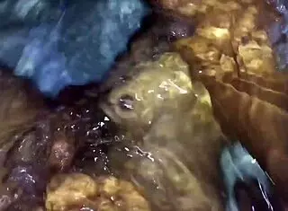 in the bathtub, she sucked me passionately, and i came deep inside her pussy, grandao58 on instagram