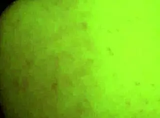 Smash Bandicoot 2 Featuring Tattooed Big Ass