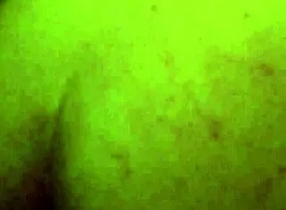 Smash Bandicoot 2 Featuring Tattooed Big Ass