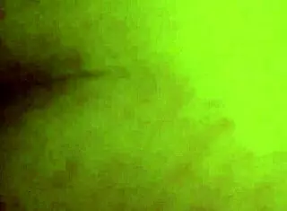 Smash Bandicoot 2 Featuring Tattooed Big Ass