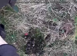 Masked Redhead Broke Flaunts Ass in Public Boots