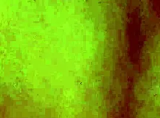 She masturbates with hairy anal dildo, getting cum