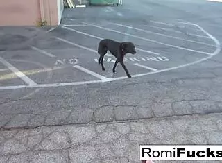 Watch Romi Rain and Dani unleash lesbian passion under black lights!