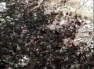 gostosa do tik tok in group anal gangbang