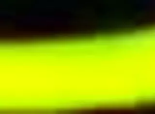 quickly no one will see us caught in the car