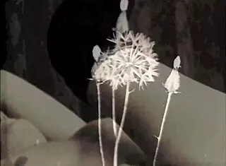 british milf gives hairy blowjob in vintage london shadows