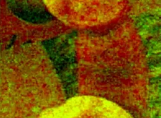 I enjoy amateur blowjobs, caresses, and anal with music