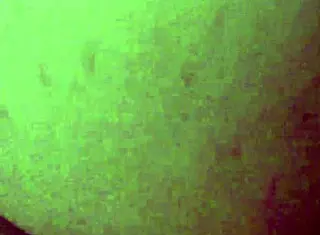 I enjoy amateur blowjobs, caresses, and anal with music