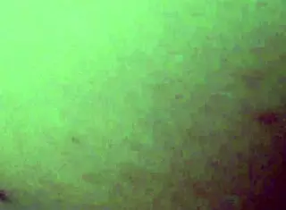 I enjoy amateur blowjobs, caresses, and anal with music