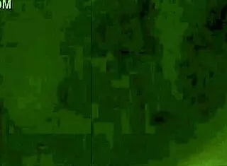 Exploring The Secret Life Of A Hairy Victorian Gentleman