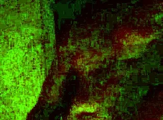 Whoa Nelly, What A Surprise