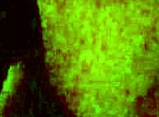 Whoa Nelly, What A Surprise