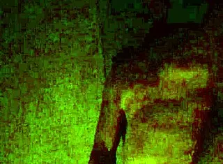 Whoa Nelly, What A Surprise