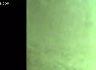 third time breeding young nympho with tattoo and tall body that day