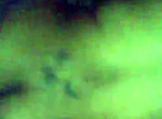 Nasty BBW MILF Bent Over for Doggy Fucking Her Phat Ass