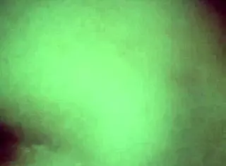 why not fuck my wife in belém like this amateurs do?