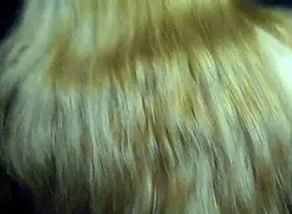 Best friend cheers me up with cosplay!