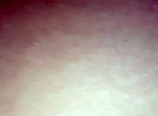 big booty latina bends over for doggystyle action with huge 12 inch dildo