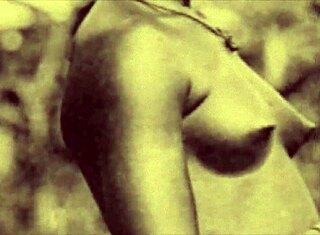 다크 랜턴 엔터테인먼트, 빈티지 에로 고백 공개