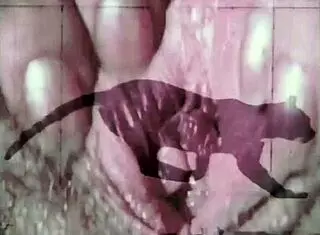 Dark Lantern Entertainment presents a vintage tale of Beauty and the Beast