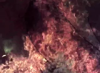 Dark Lantern Entertainment presents a vintage tale of Beauty and the Beast