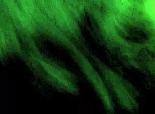 Bold Indian aunt seduces with WhatsApp contact for hot sex