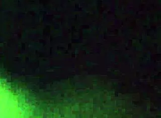 Amateur White Prostitute Sucks Cock Deeply In Her Mouth For Money On The Street