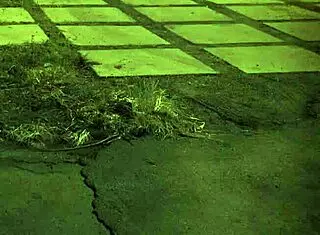 Bound teen with glasses in bdsm domination