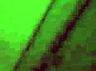 Tyla Wynn says, 'Suck my cock deep.'