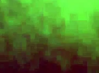 Big butt Monroe girl takes dick