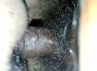 Intimate Moments Between Passionate Couples.