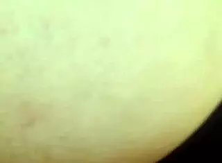 Big Booty Bitch Shaking Her Ass Seductively