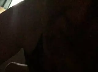 I love watching Mammabear give a blonde milf blowjob.