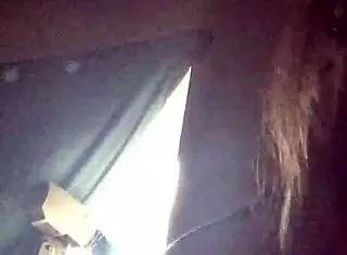 I love watching Mammabear give a blonde milf blowjob.