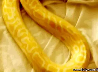 exotic lover relaxes in nature with ebony milf vibes 😊