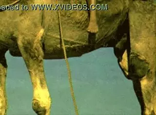 dark lantern entertainment unveils vintage desire