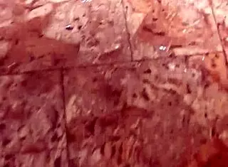 Дюк и Дэвид ссут в стакан