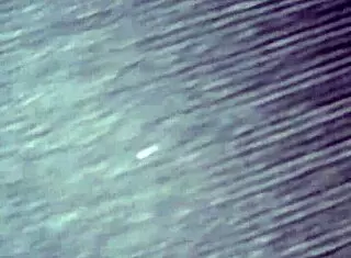 Passing by to drop off some milk 😏