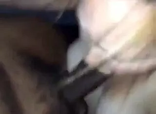 Blonde Kay Phoenix Gives Sloppy Blowjob And Assfucking To Monster Cock In Homemade Scene