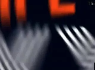 Unexpected group encounters surprise everyone.