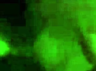 wife takes cumshot on face from amateur blowjob