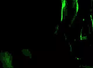 girl loves to fuck her girlfriend