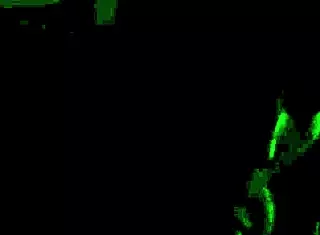 girl loves to fuck her girlfriend