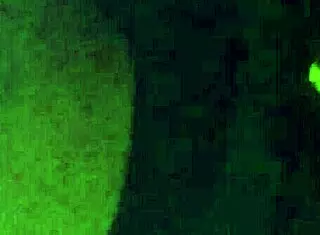 I paid my ex for this intense throat fuck session